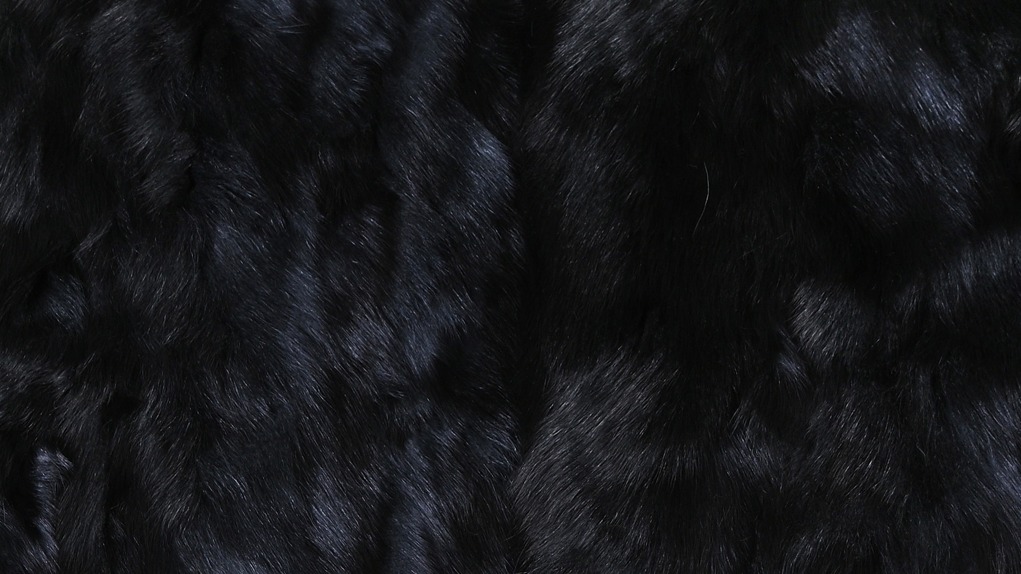 Fox plate blue belly dyed black