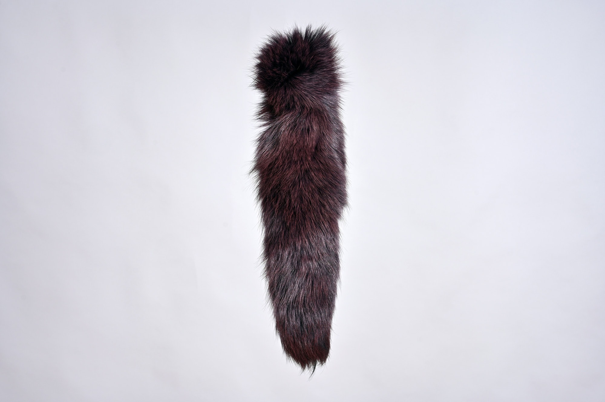 Blue fox dyed tail