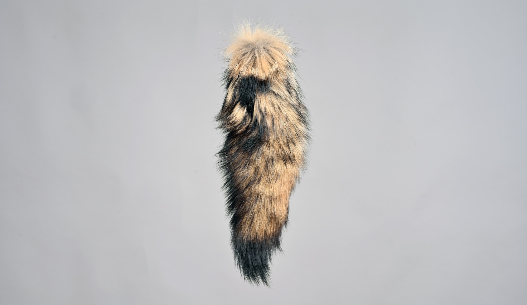 Kit fox tail B