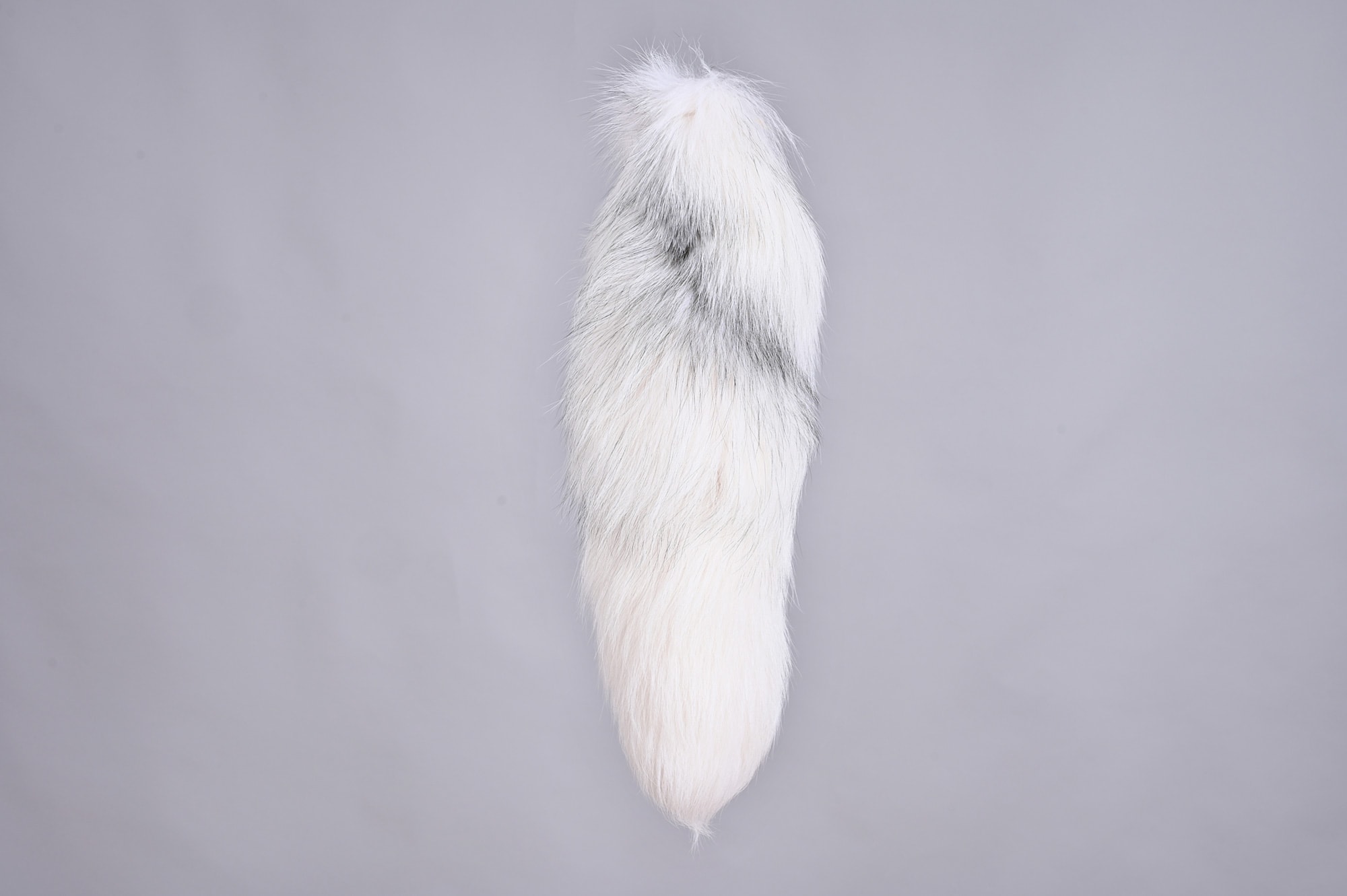 Arctic marble tail