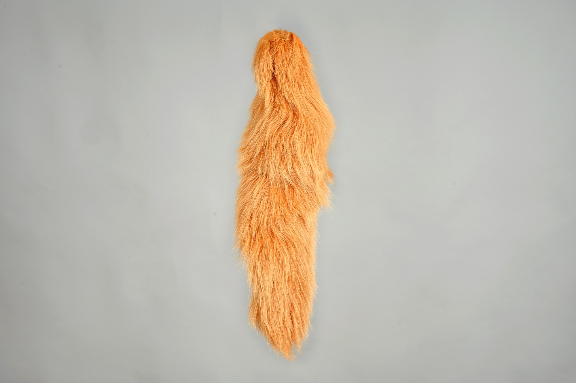Blue fox dyed orange tail 