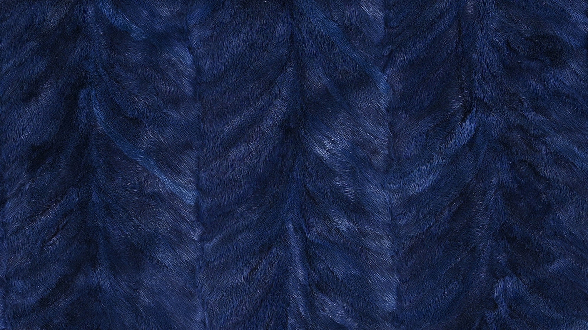 Mink plate back paw dyed blue
