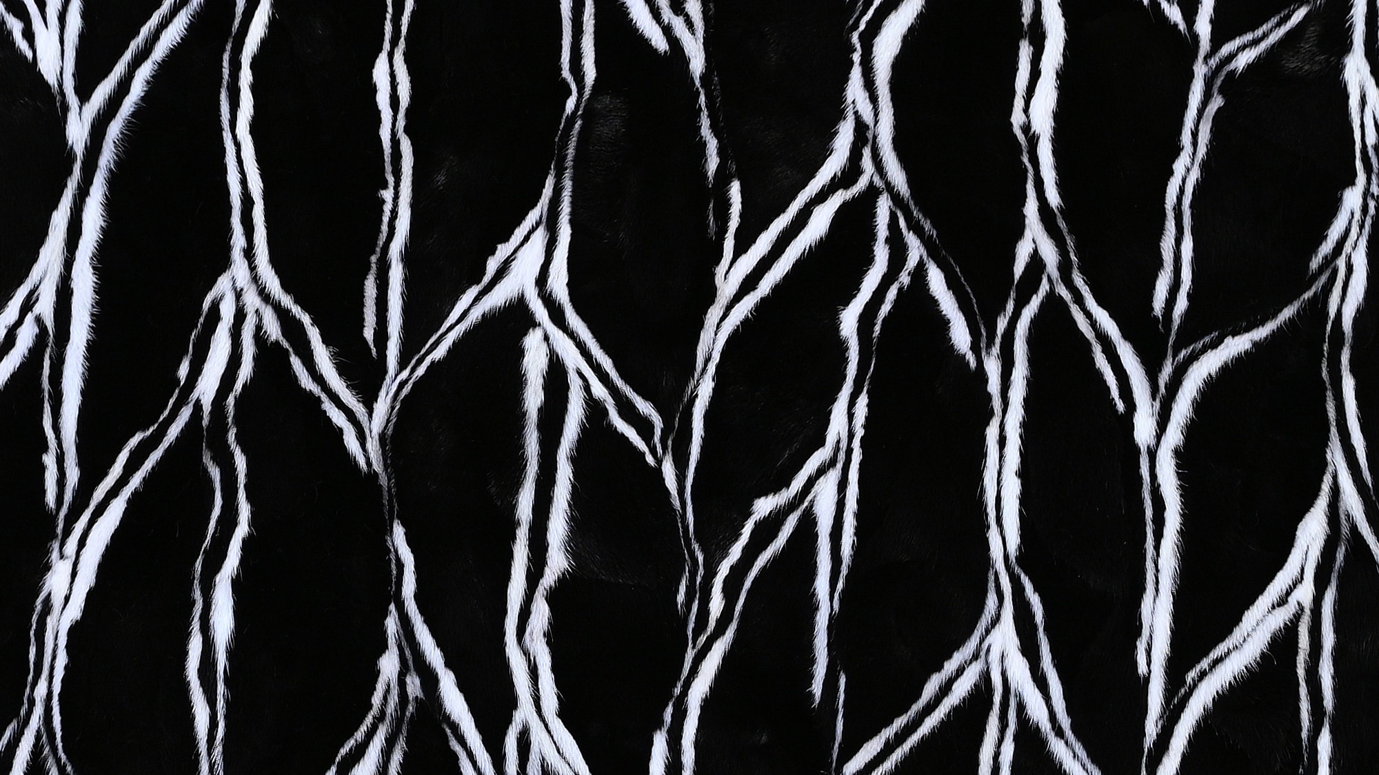 Mink plate black ikaridiko with internal white lace