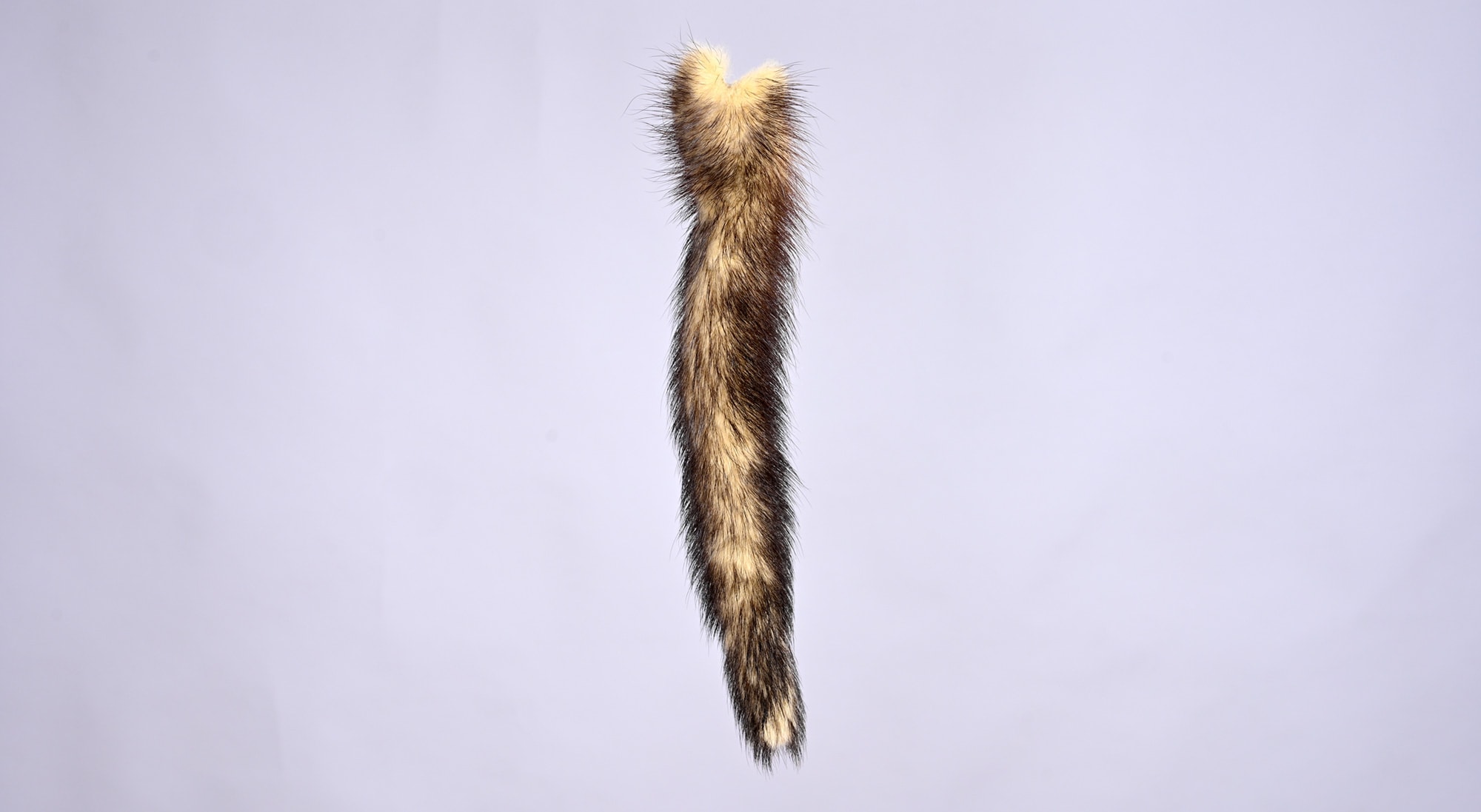 Mink dyed tail