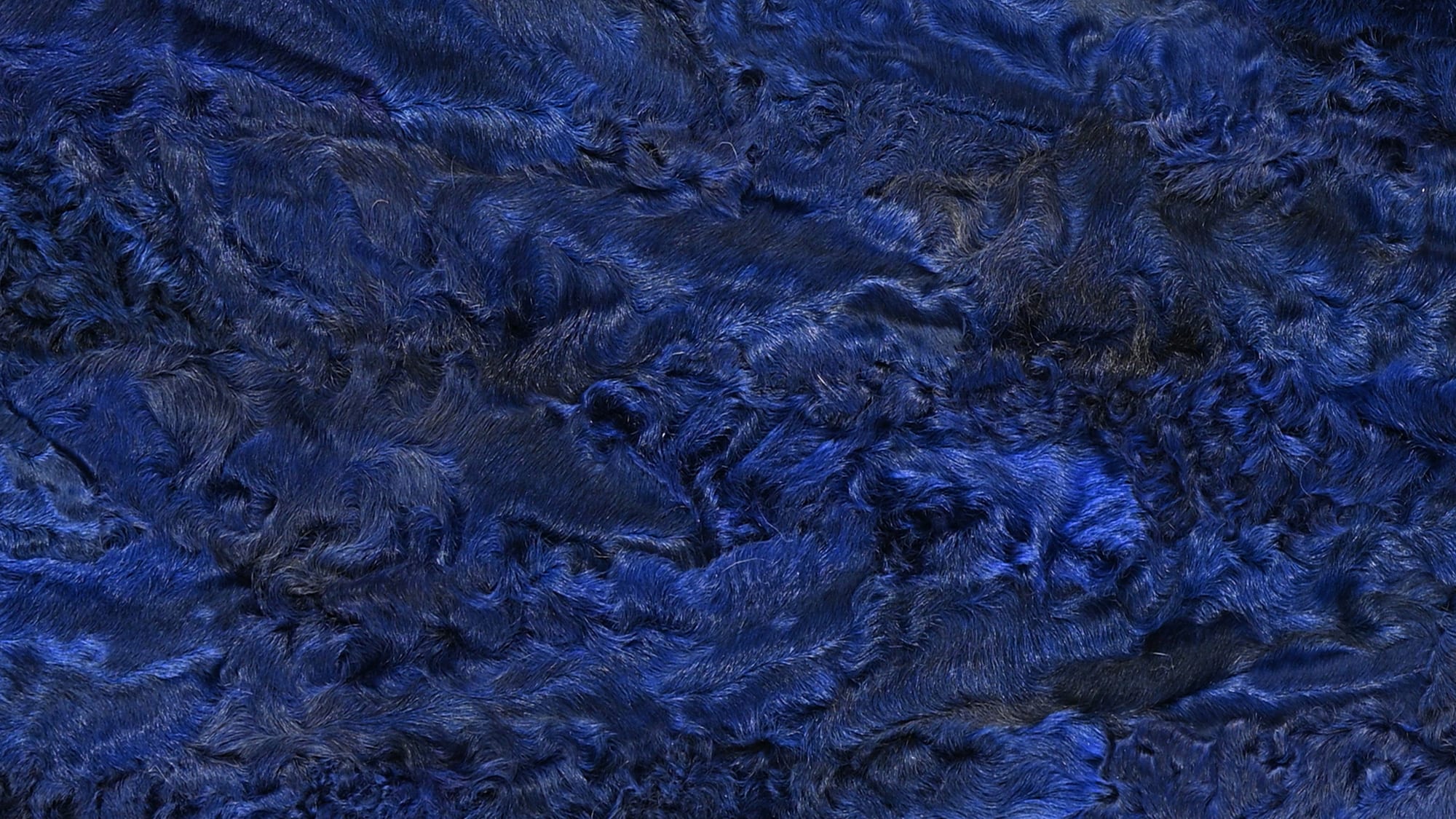 Persian lamb plate pieces dyed blue