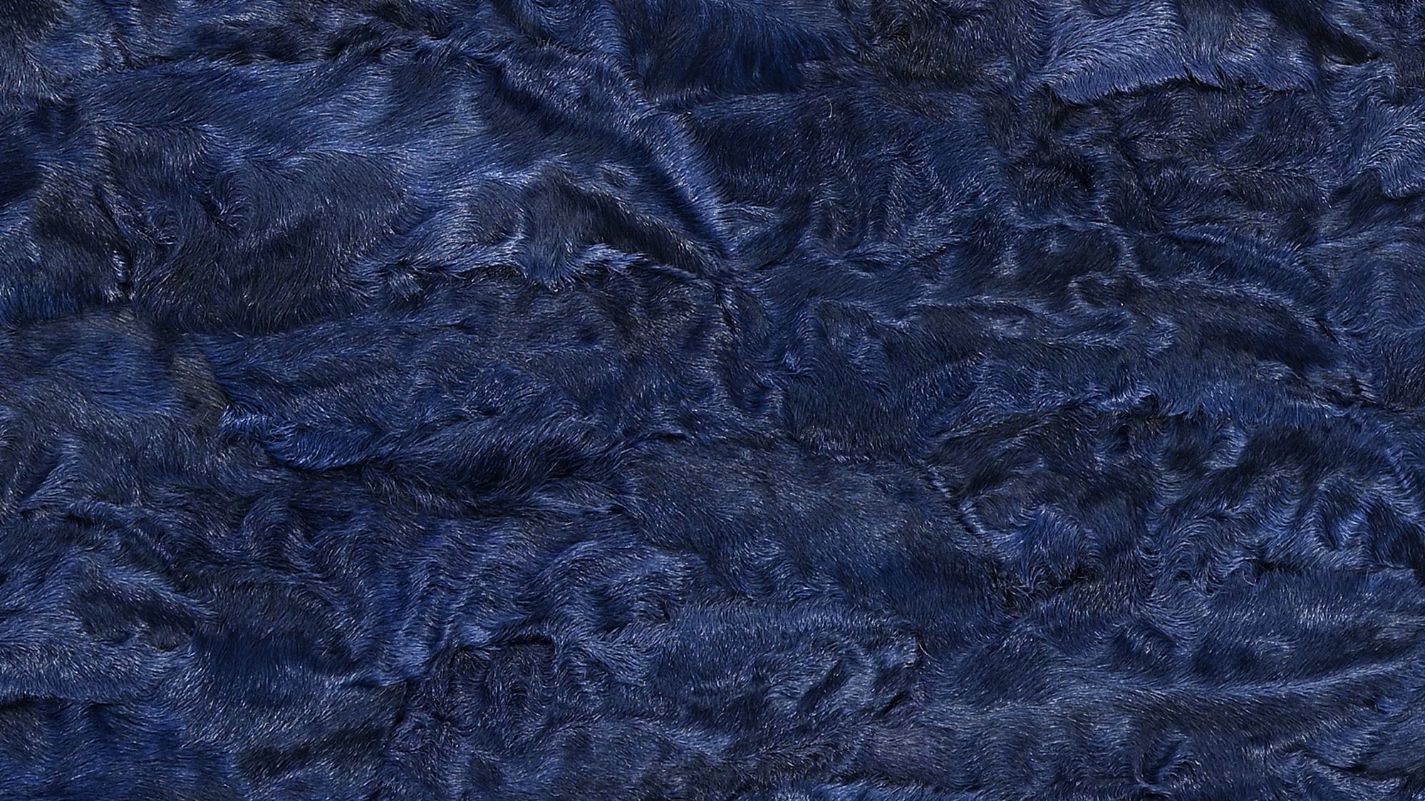 Persian lamb plate paw dyed blue