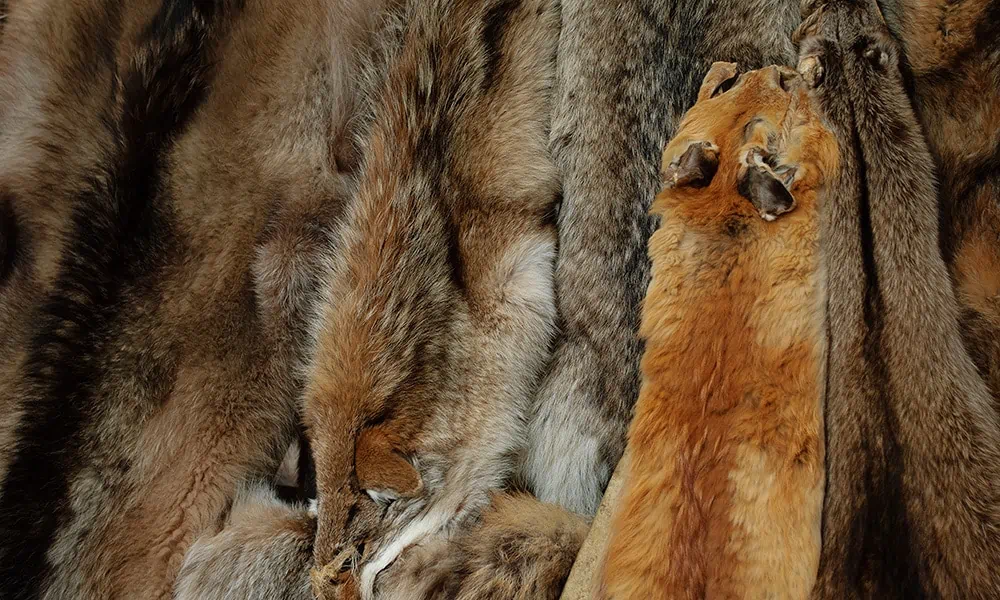 Fur bodies